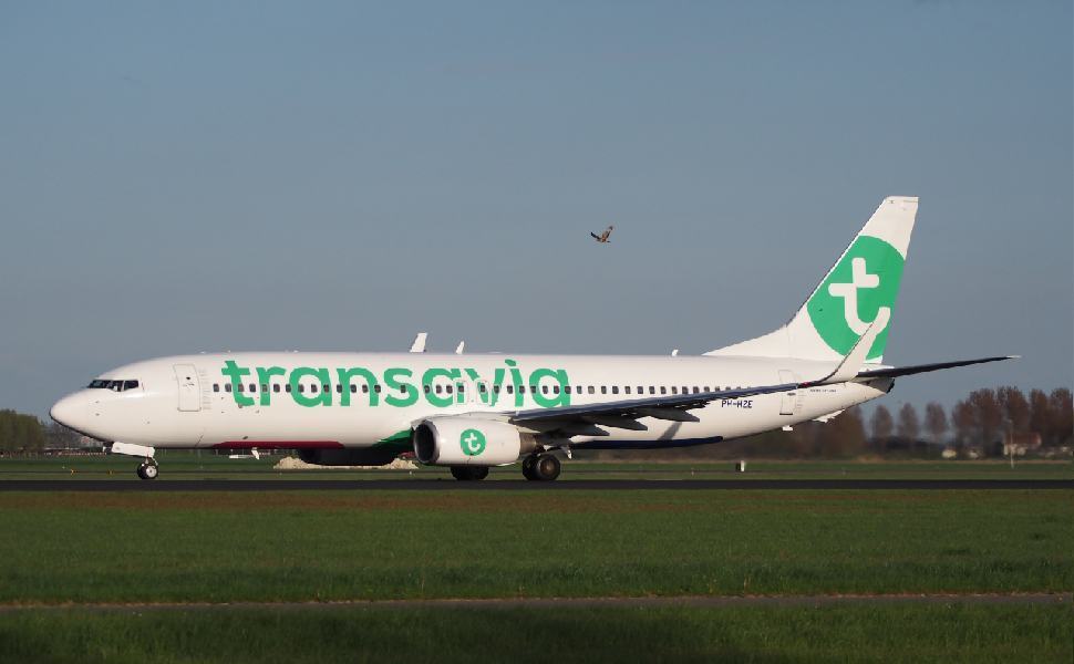 transavia 2