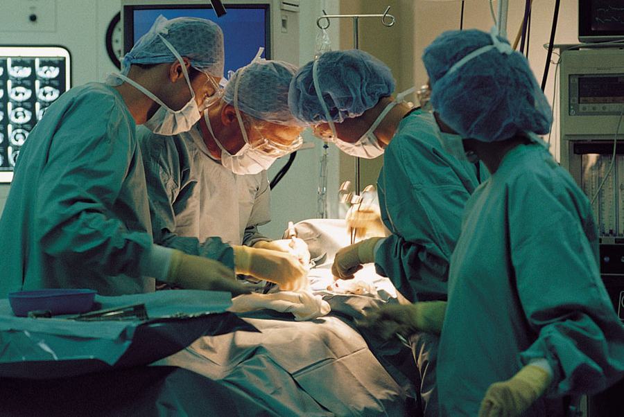 Giornata Nazionale Donazione Organi, Brusaferro: "scelta d'amore". L'appello dell'Annunziata 62 trapianti