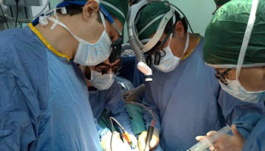 trapianto fegato Modena