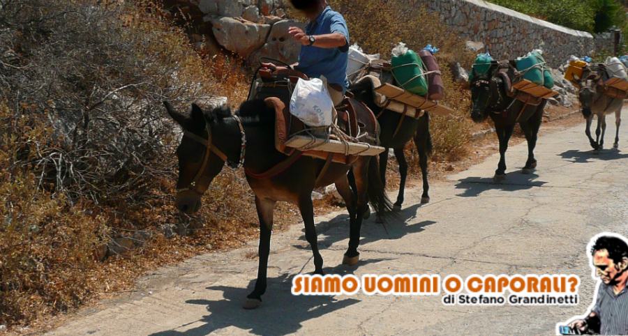 trasporti grandinetti