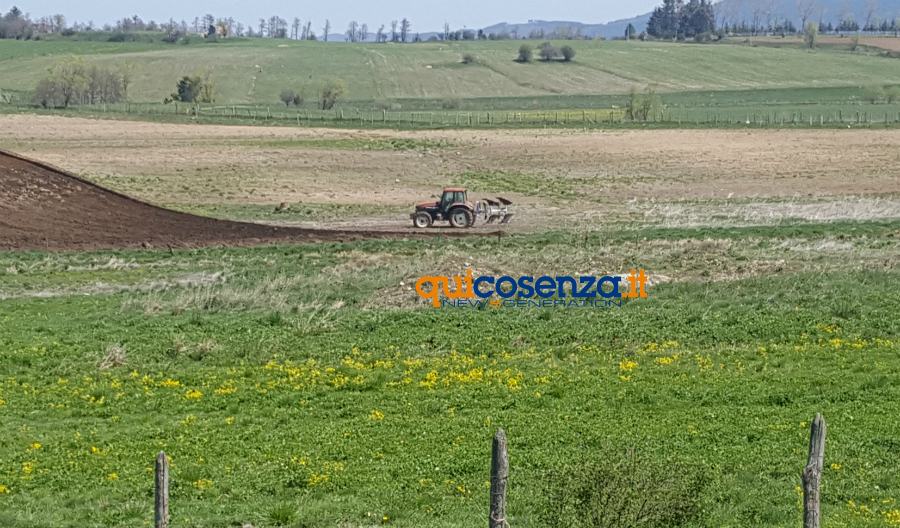 Sostegno alle aziende agricole delle zone svantaggiate: in arrivo altri 16 milioni 51 trattore agricoltura 4