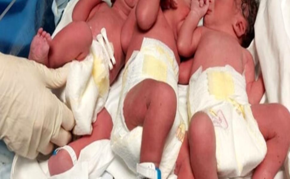 Annunziata, nati dopo gravidanza ad alto rischio: lasciano l’ospedale 3 gemellini 51 tre gemellini 2 1