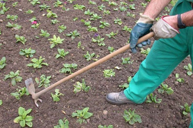 Cinquantasettenne del cosentino ritrovato cadavere dal figlio 51 trebisacce morto campagna