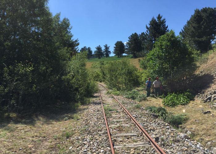 Un treno a vapore collegherà Moccone a San Giovanni in Fiore 206 treno vapore