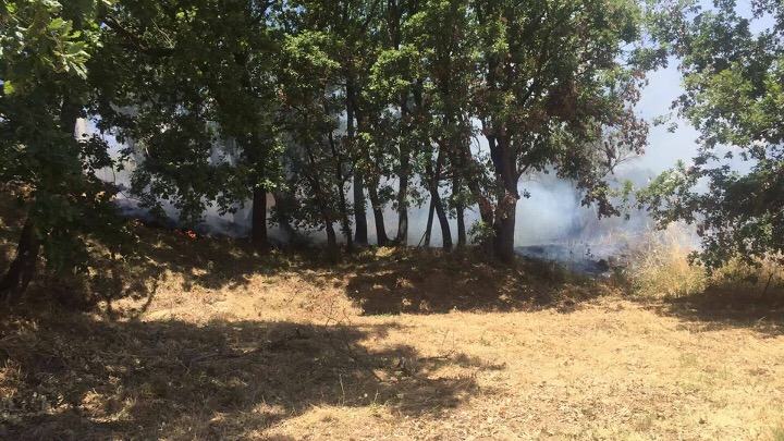 FOTONOTIZIA - Ancora incendi nell'area urbana di Cosenza (FOTO E VIDEO) 57 trenta