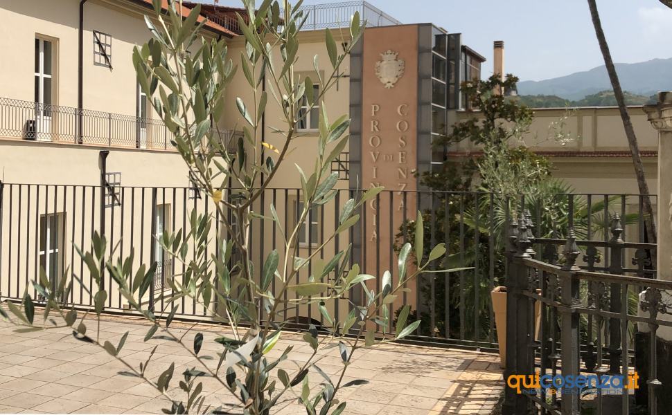 ulivo vittime covid provincia cosenza oK