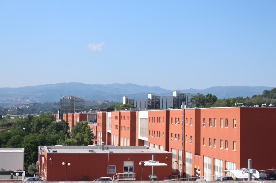 unical 1 18