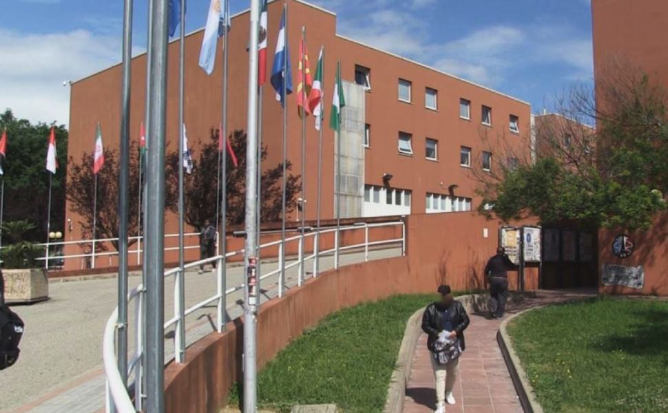 Università della Calabria, al via l’ammissione ai corsi di laurea: come partecipare ai test 51 unical universita calabria 7