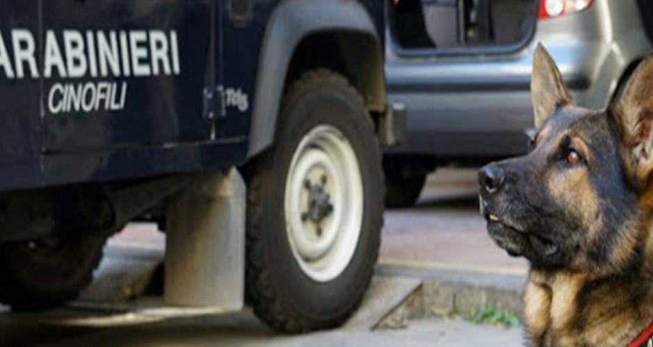 unitacinofile carabinieri 1200x675 1
