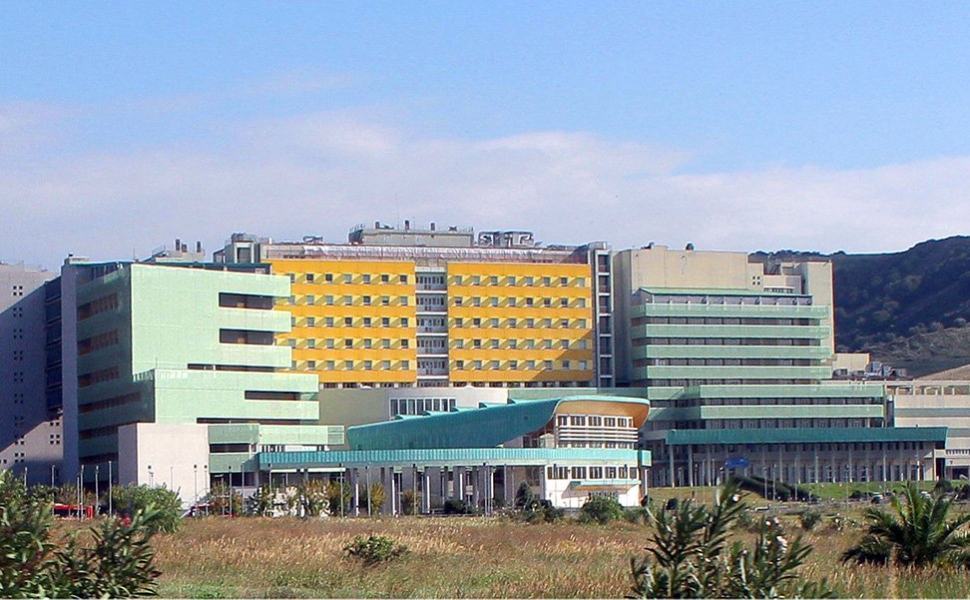 universita_magna_grecia_catanzaro-