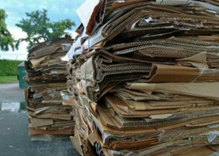 Raccolta differenziata di carta e cartone: Cosenza tra gli Ecocampioni 51 unnamed file