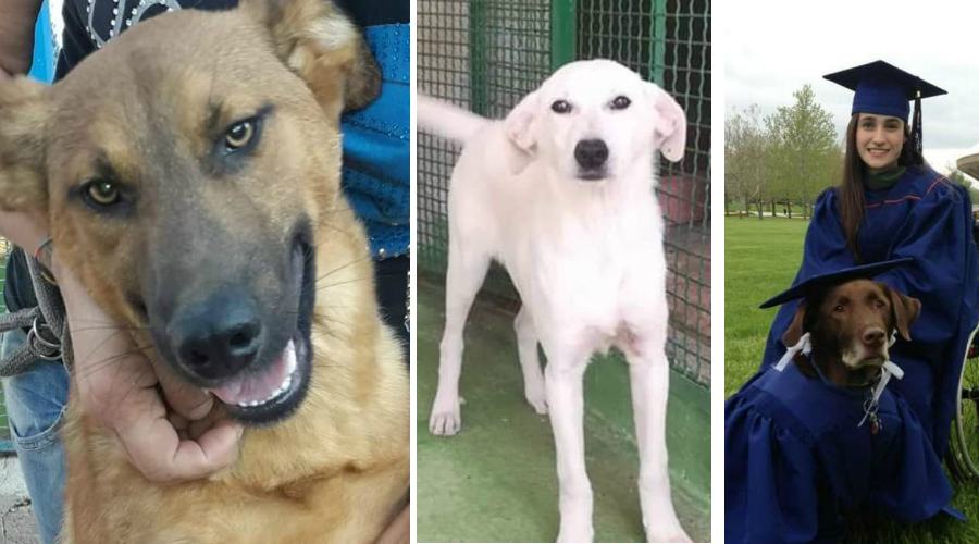 uto jaqueline e Hero