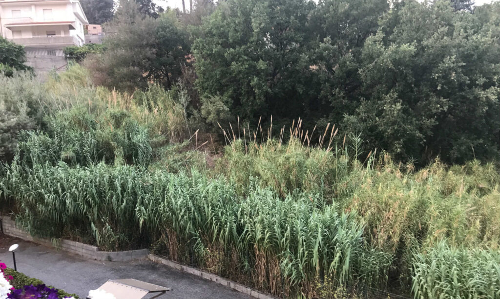 vadue via nazionale 2