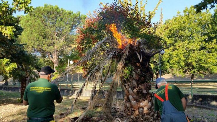 Parco Robinson e parchi fluviali al via i lavori di pulizia 59 verde 3