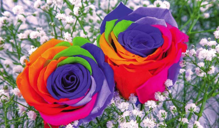 vi dichiaro uniti lgbt