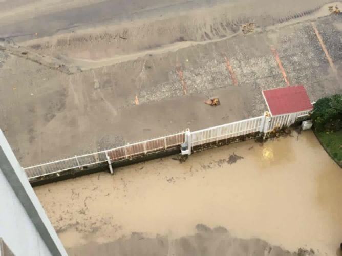 via bosco de nicola3