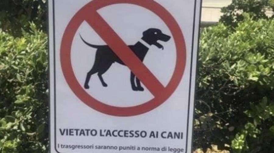 Falerna: guerra tra Comune e turisti che avrebbero rimosso i cartelli di divieto d'accesso ai cani 51 vietato accesso cani