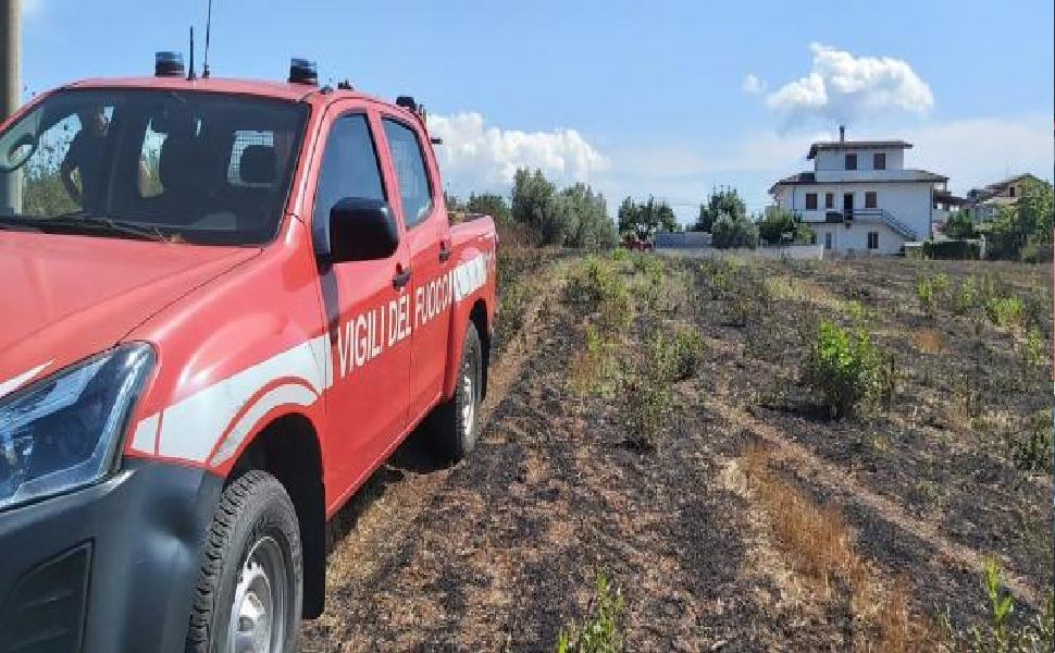 Trovato privo di forze mentre l'uliveto è in fiamme, 93enne tratto in salvo 51 vigili del fuoco vibo valentia 1