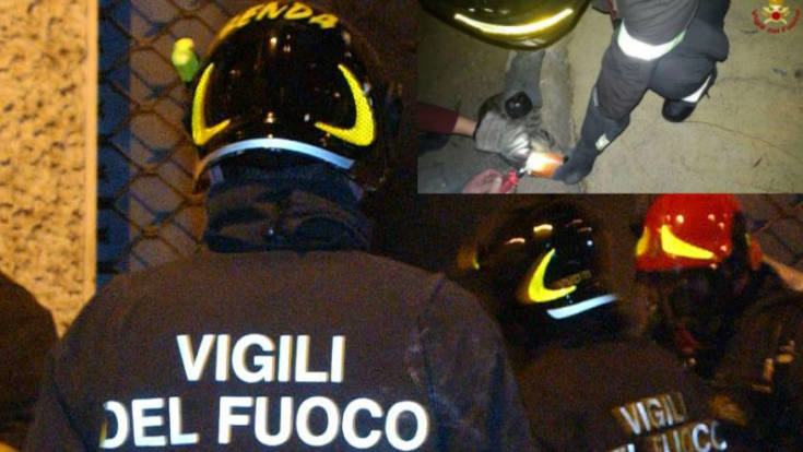 vigili fuoco gattino crotone
