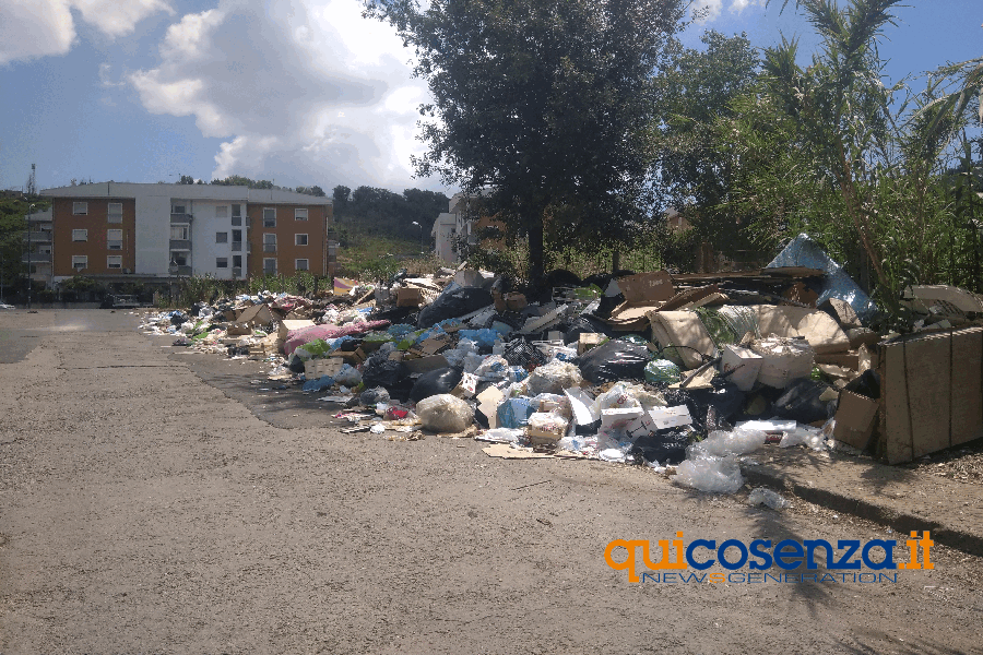 Villaggio rom tra serpenti, rischio incendi ed un enorme cumulo di rifiuti (FOTO) 51 villaggio rom cosenzaP 00016