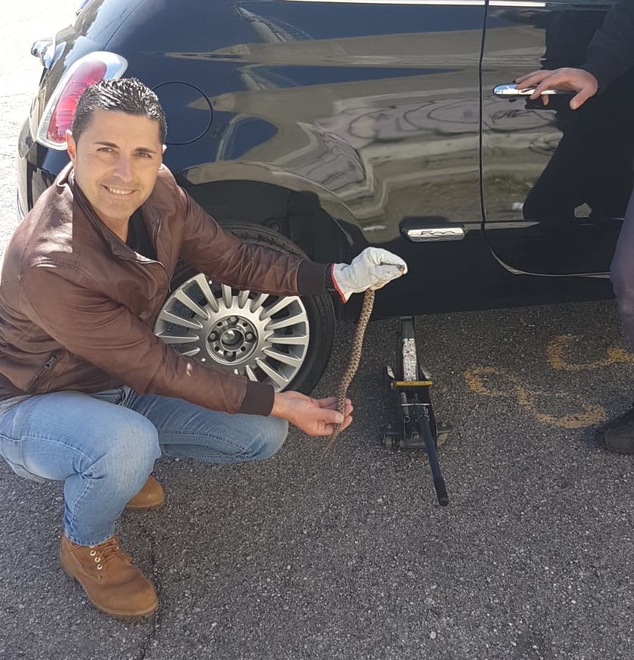 vipera salvaTAGGIO CONGI 2