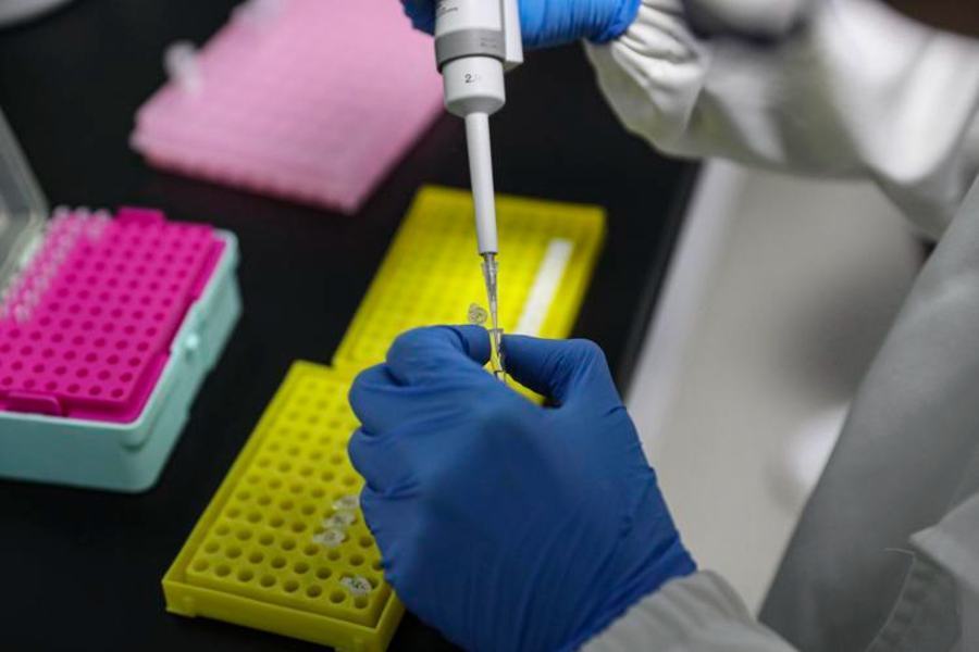 Covid, anticorpi monoclonali anche in Italia: cosa sono e come si usano 70 virus laboratorio afp 1 0 1266875755