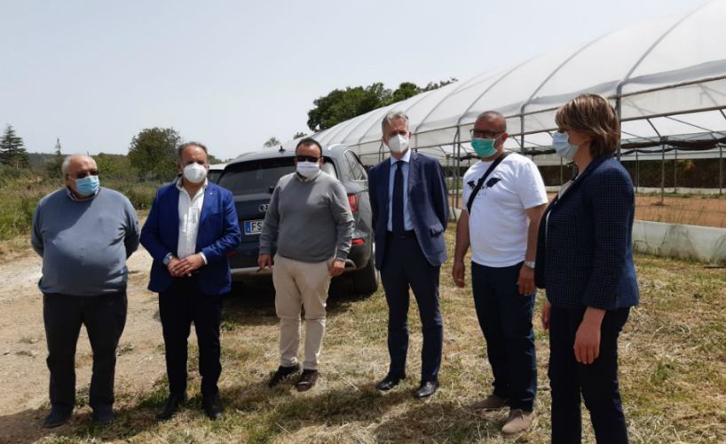 Assessore Gallo visita lo stabilimento della ‘nduja distrutto dalle fiamme: "incendio devastante" 51 visita azienda