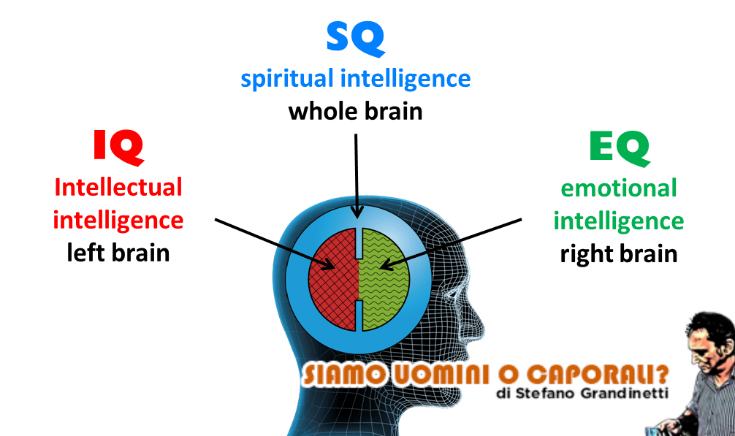 voto analisi grandinetti