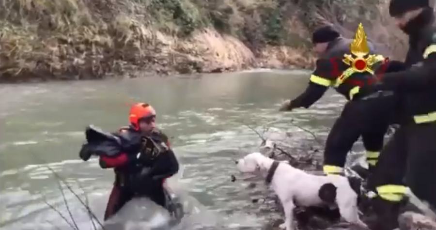vvff salvano cane fiume