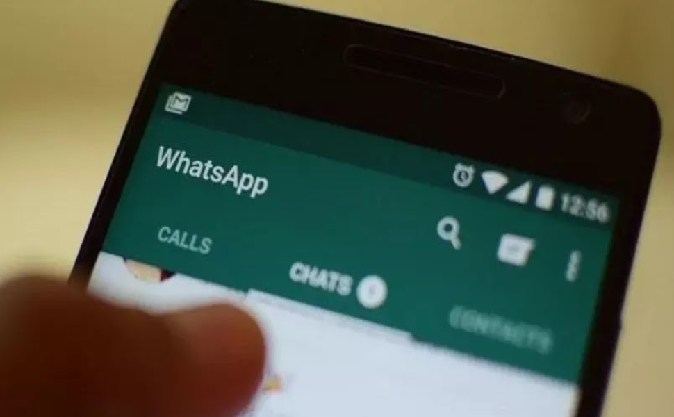Cosenza, quando il 'sostegno' elettorale arriva anche... dall'aldilà 51 whatsapp 3