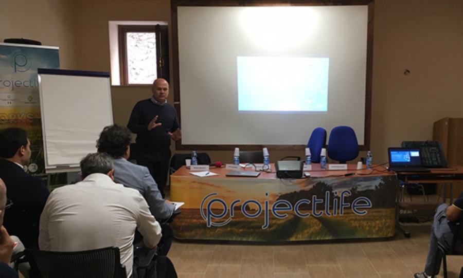 workshop terranova ok