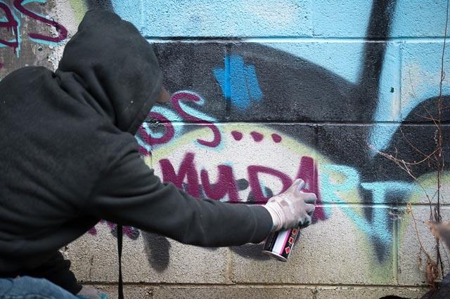 Gruppo di writers sorpreso nei cancelli di una scuola in provincia di Cosenza 53 writer