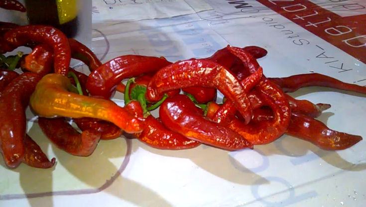 zafarana2