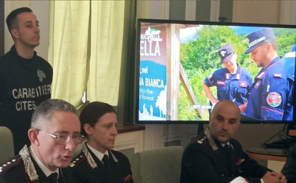 Carabinieri forestale al servizio dell'ambiente: 17 arresti nel 2022 e 1.765 reati accertati 52 carabinieri forestale calabria bilancio 2022