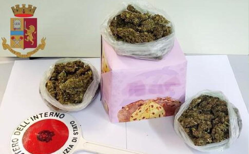 Si mostra nervoso durante un controllo: nascondeva la marijuana nel panettone 51 marijuana nel panettone