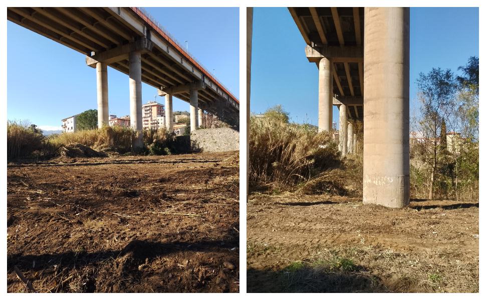 pulizia fiumi cosenza