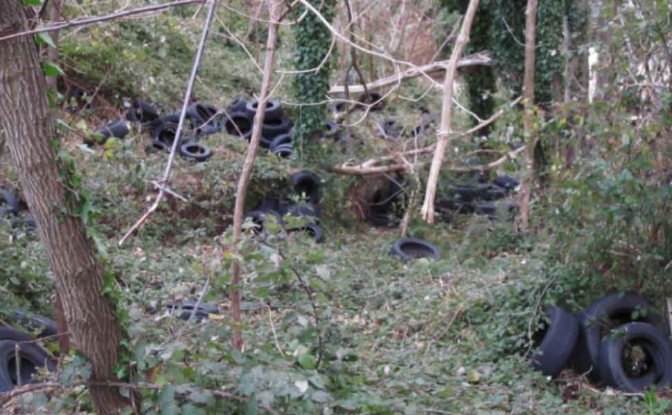 rifiuti cerisano sp 03