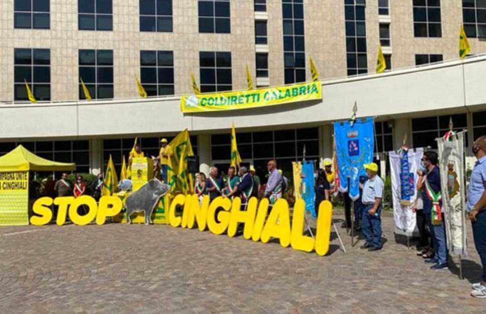 stop cinghiali alla cittadella de8fa 1