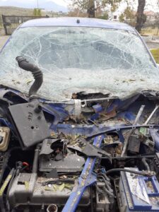 San Nicola Arcella, atto intimidatorio ad una volontaria di 'Italia Nostra': presentata denuncia 52 332076861 1236837397236882 7290133973987113939 n 1