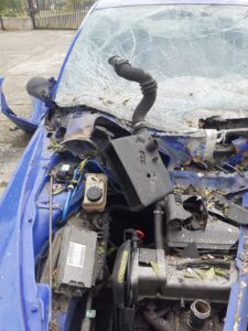 San Nicola Arcella, atto intimidatorio ad una volontaria di 'Italia Nostra': presentata denuncia 53 332087152 731552975100319 4691189240217908118 n