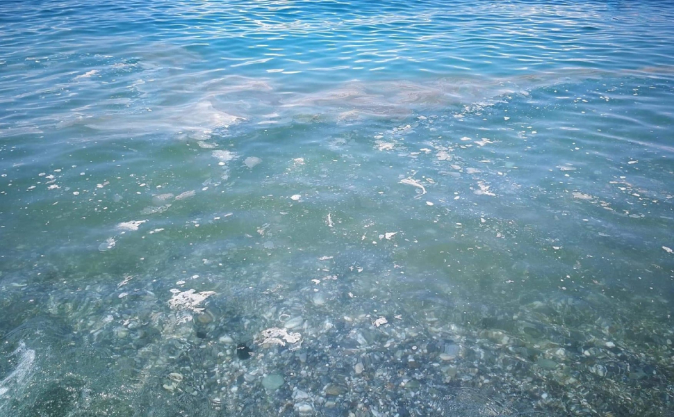 Amantea mare sporco 1