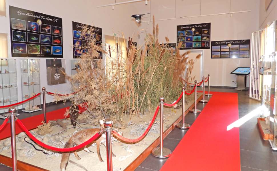 Centro Visite e Sezione del Museo del Mare 03