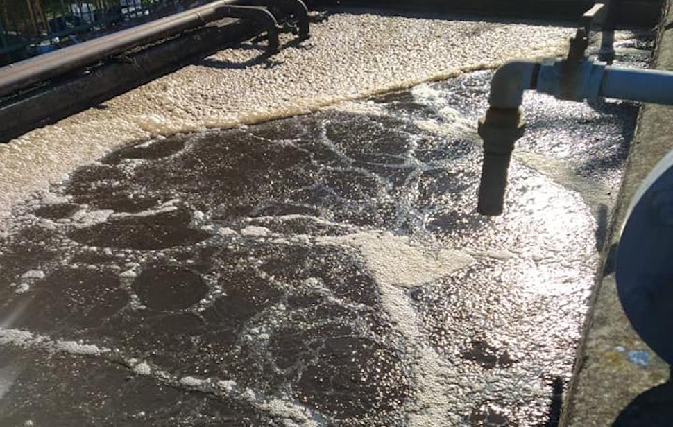 Depuratore Acuappesa