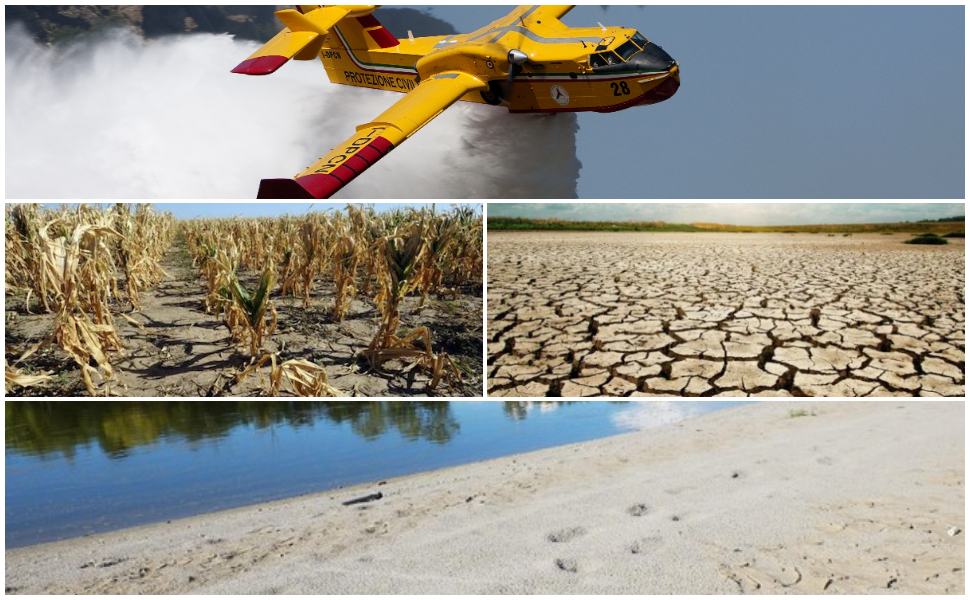 Siccità in Calabria: -32% di piogge in pochi mesi, allarme del rapporto clima 2025 54 Incendi caldo siccita