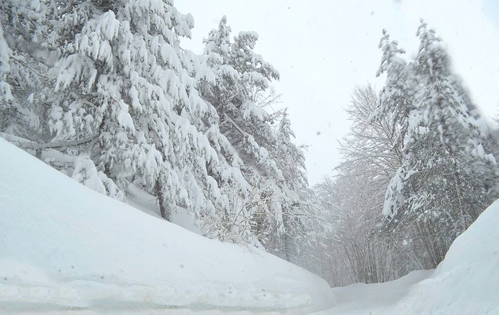 Irrompe l'inverno tardivo: freddo e neve in Calabria come a gennaio. E potrebbe durare fino a fine marzo 52 Freddo e neve in Calabria