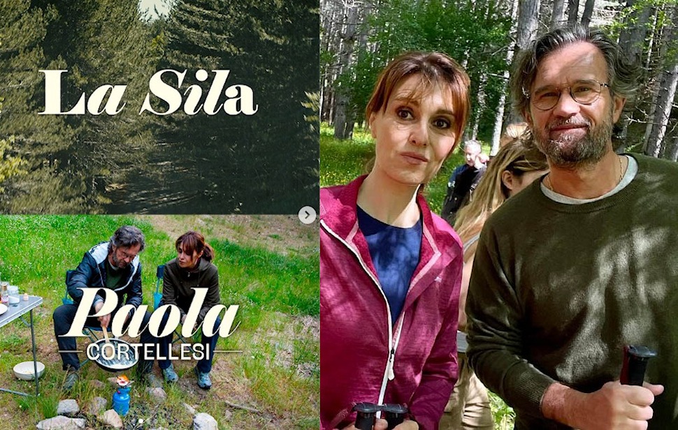 afaf97d0 91c5 4fc5 a4c2 8f62f03f6393