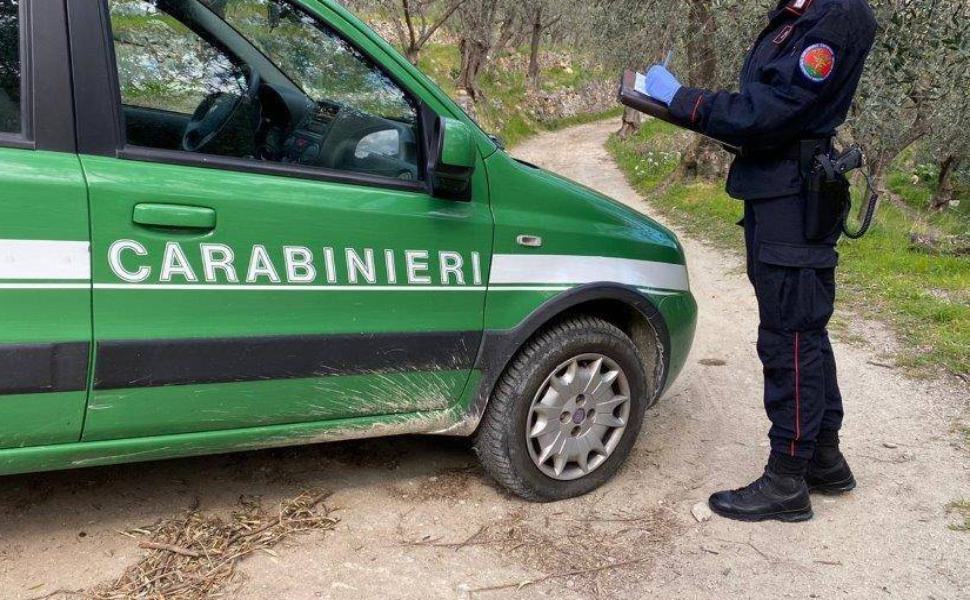 carabinieri forestali