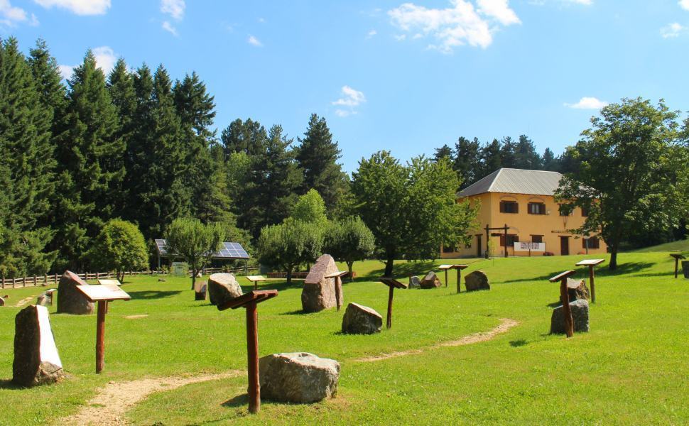 centro visite cupone