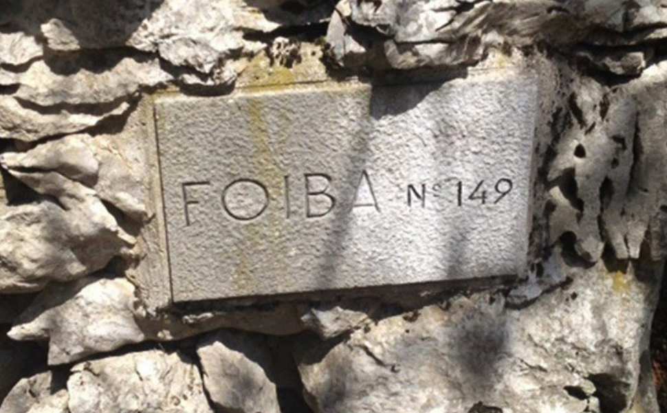 foiba