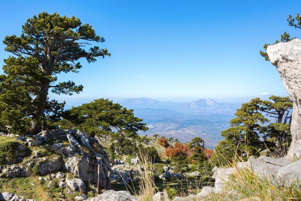Funivia sul Pollino, De Marco (AIW): «Proposta scellerata e banale da chi non conosce il territorio» 53 foto pollino 2